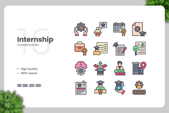 Internship Colored Icons for Modern Design